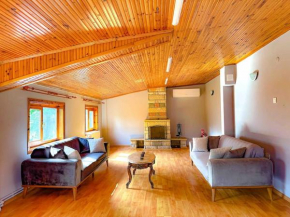 Sapanca orman içinde özel villa